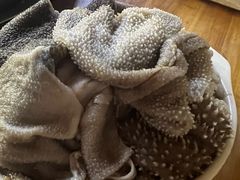 -储奇门鳝鱼火锅(总店)