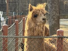 -大连森林动物园