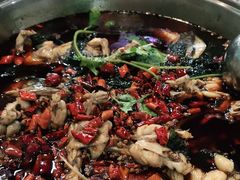 -麻辣巅峰美蛙鱼头火锅(犀浦店)