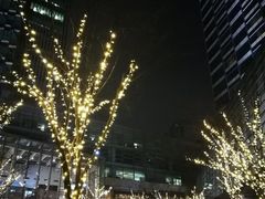 -上海浦东嘉里大酒店