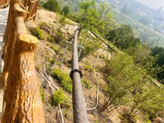 -白水寺森林公园