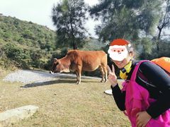 -大姆山草场