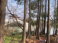 -东湖落雁景区