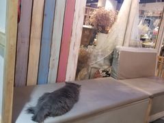 -小时光咖啡馆(开森度假森林店)