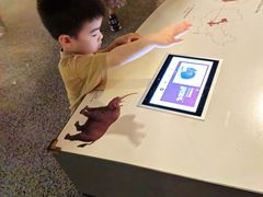 -自然博物馆新馆2楼餐厅