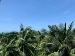 -三亚湾海居铂尔曼度假酒店