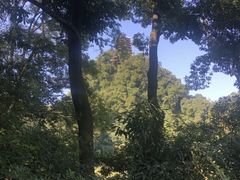 -青城山