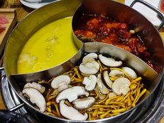-青瓷火锅料理(西单大悦城店)