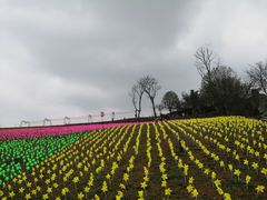 -天河潭旅游度假区