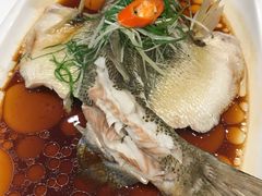 -至潮餐厅精致粤菜·活鲈鱼·走地鸡(珠江新城店)