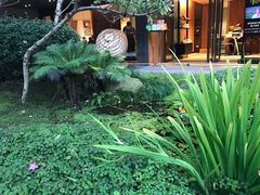 -微热山丘(台北民生公园门市店)