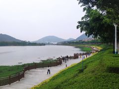 -艾米稻香小镇
