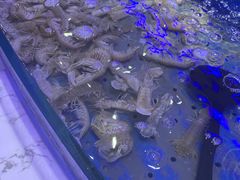 -澜悦港海鲜体验主题餐厅
