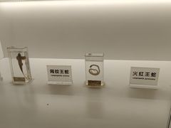 -成都欢乐谷