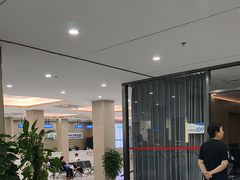 -上海大学附属上海和平眼科医院
