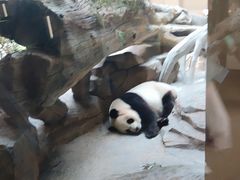 -宁波野生动物园