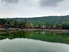 -九龙潭景区
