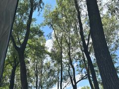 -森林公园(尖草坪区)