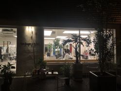 -Hair  Gallery