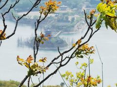 -北京十三陵国家森林公园蟒山景区