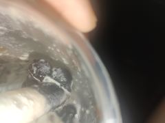 -奈雪的茶(苏宁广场店)
