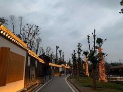 -枫香湖儿童公园