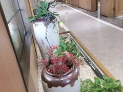 -崂山印象·青岛·海鲜渔家菜