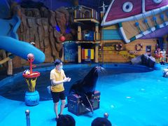 -烟台海昌鲸鲨海洋公园