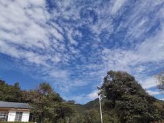 -九龙江国家森林公园