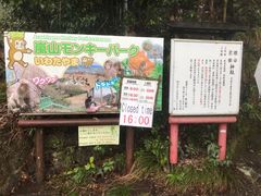 -岚山猴子公园