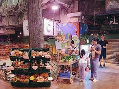 -正佳雨林生态植物园