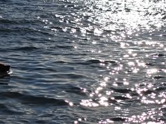-银沙滩浴场