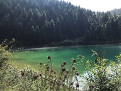 -武陵山森林公园