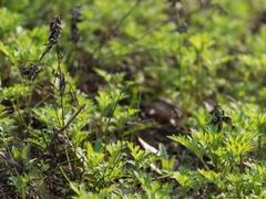 -前小桔亲子创意农场·草莓采摘·露营烧烤