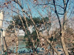 -柳湖小筑青年旅舍