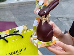 -Laderach 莱德拉(上海环贸iapm店)