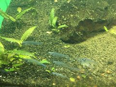 -常州海昌海洋探索馆