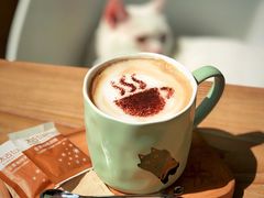 -猫的茶·猫咖