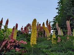 -西安电影制片厂