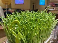 -海底捞火锅(贵和购物中心店.原鲁能城店)