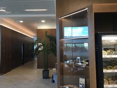 -谢列梅捷沃国际机场