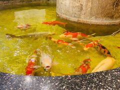 -古莲·影院足道·按摩SPA(水上温泉店)