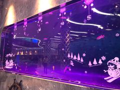 -瑞德姆美人鱼海底演艺主题餐厅(亚龙湾店)