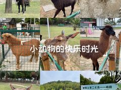 -达蓬山旅游度假区