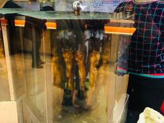 -一代烤翅王(大汉口店)