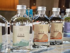 -斯瑞特国际酒店