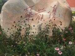 放置图书馆前-沈阳药科大学