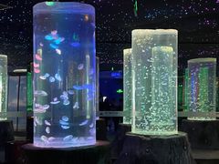 -锦艺城海洋馆