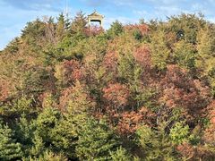 -泰山风景名胜区