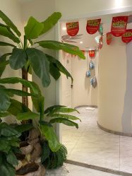 -健身堂科技美肌SPA